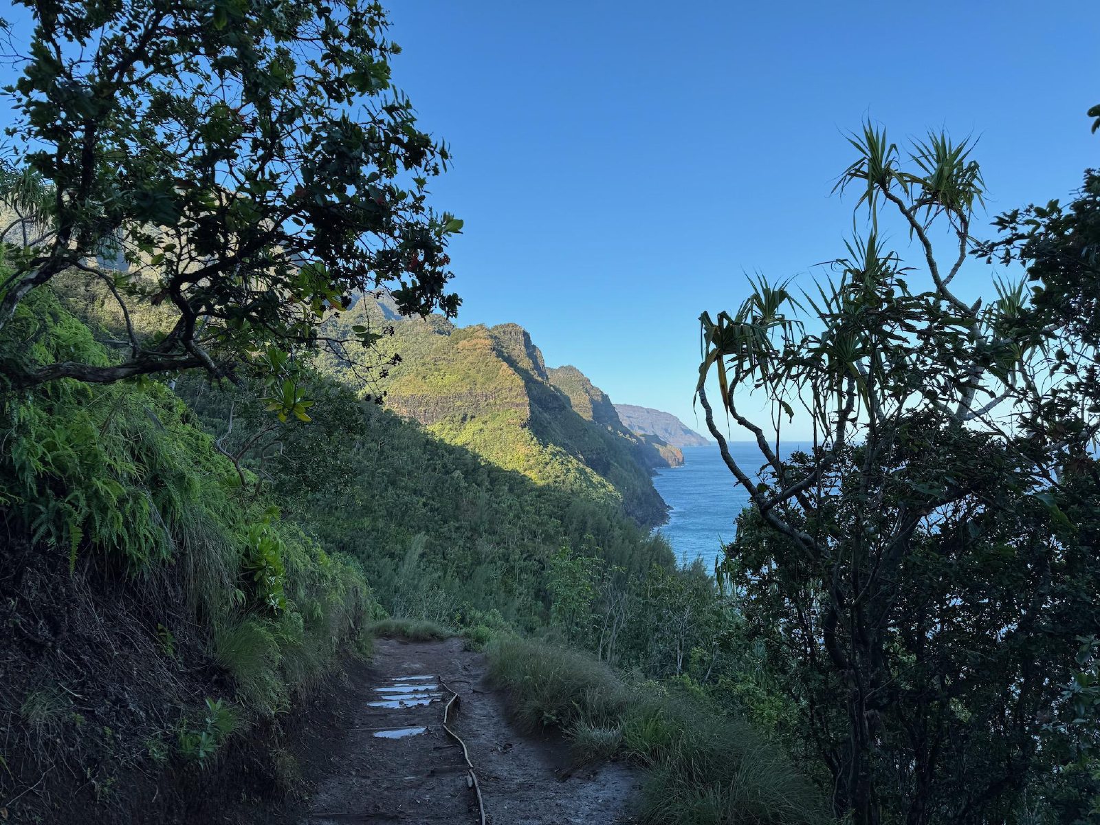 Kalaulau