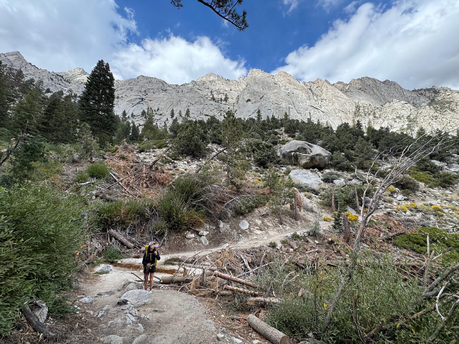 Starting the Trail