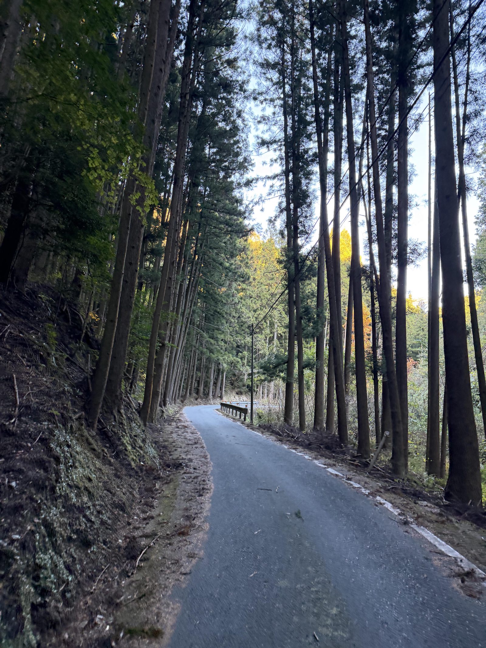 The road home