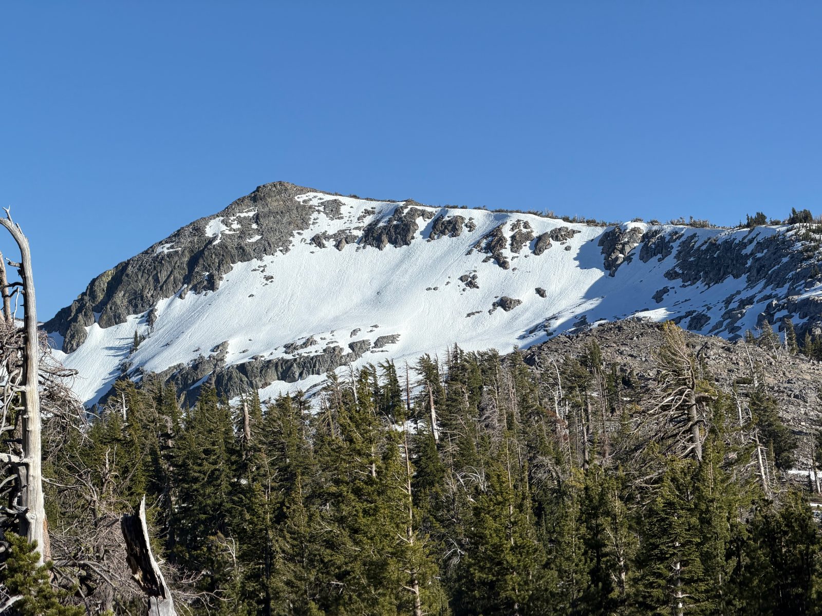Looking into Desolation