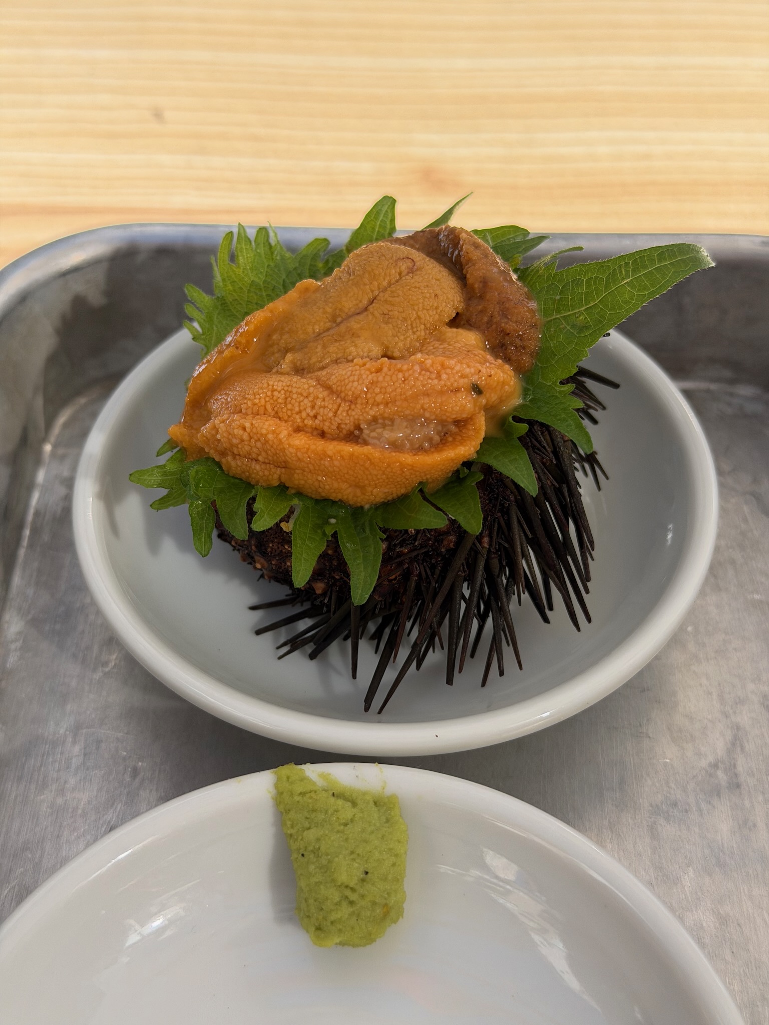 Sea Urchin
